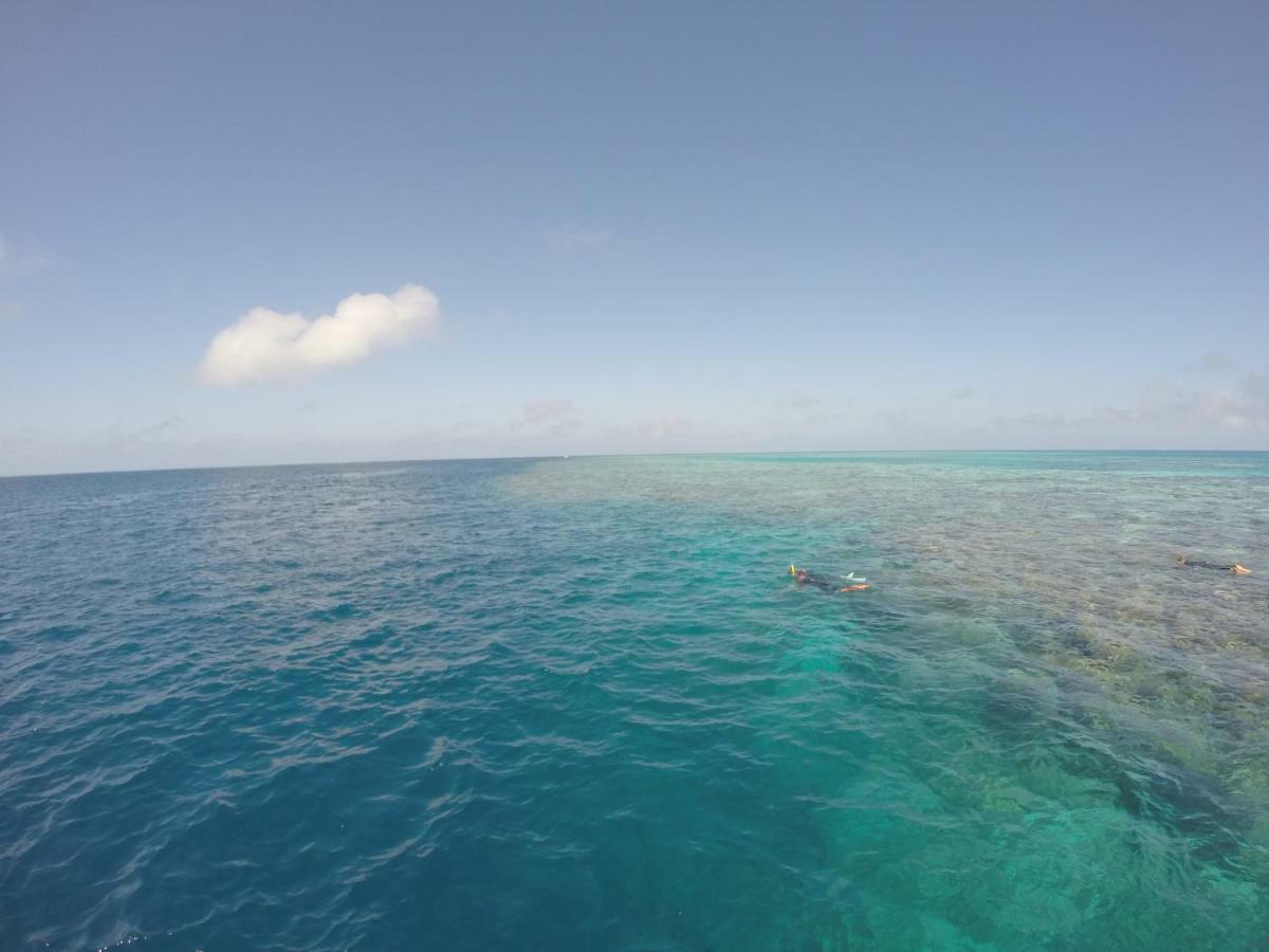 مبيت وإفطار شاطئ إيرلي Island Views المظهر الخارجي الصورة